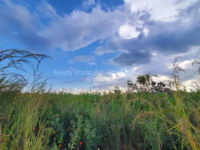 Residential Stand for Sale in Haydon Park, Mazowe