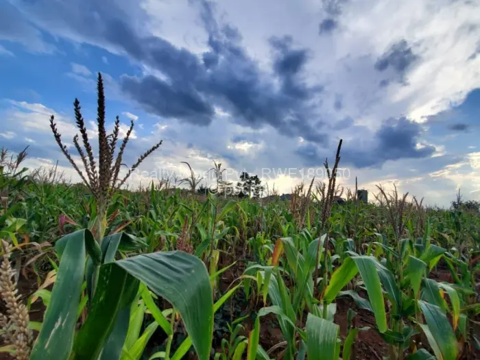 Residential Stand for Sale in Haydon Park, Mazowe