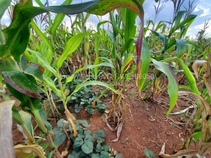 Residential Stand for Sale in Haydon Park, Mazowe