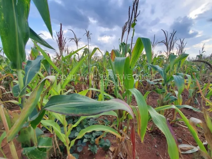 Residential Stand for Sale in Haydon Park, Mazowe