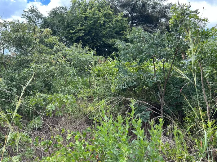 Industrial Stand for Sale in Sunway City, Harare