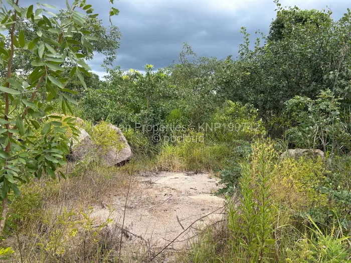 Industrial Stand for Sale in Sunway City, Harare