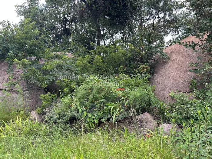 Industrial Stand for Sale in Sunway City, Harare