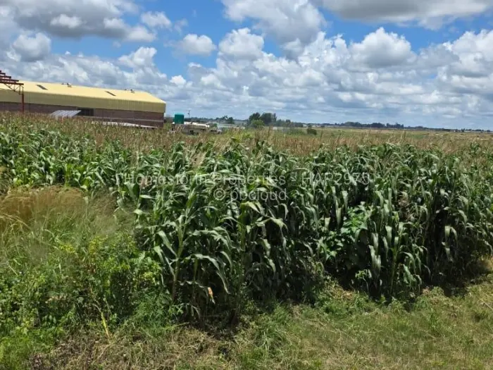 Industrial Stand for Sale in Damofalls, Damofalls