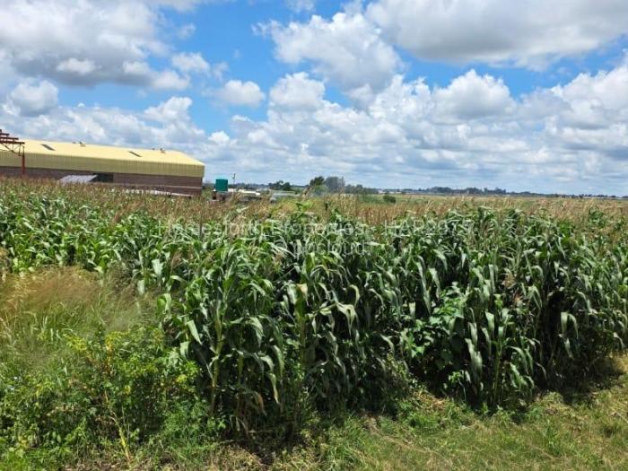 Industrial Stand for Sale in Damofalls, Damofalls