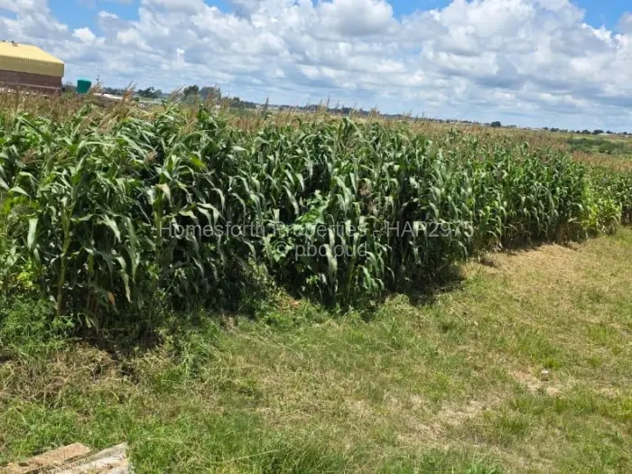 Industrial Stand for Sale in Damofalls, Damofalls