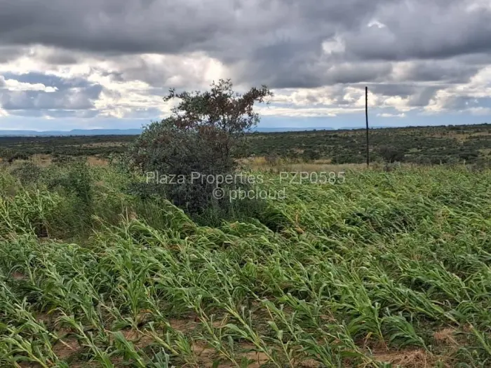Residential Stand for Sale in Chivhu, Chivhu