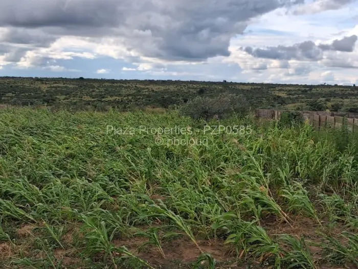 Residential Stand for Sale in Chivhu, Chivhu
