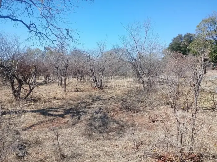 Residential Stand for Sale in Victoria Falls, Victoria Falls