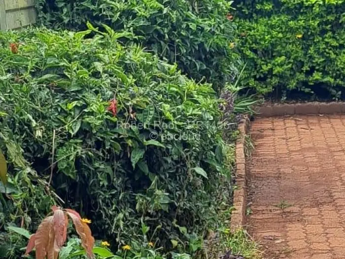 3 Bedroom House for Sale in Belvedere, Harare