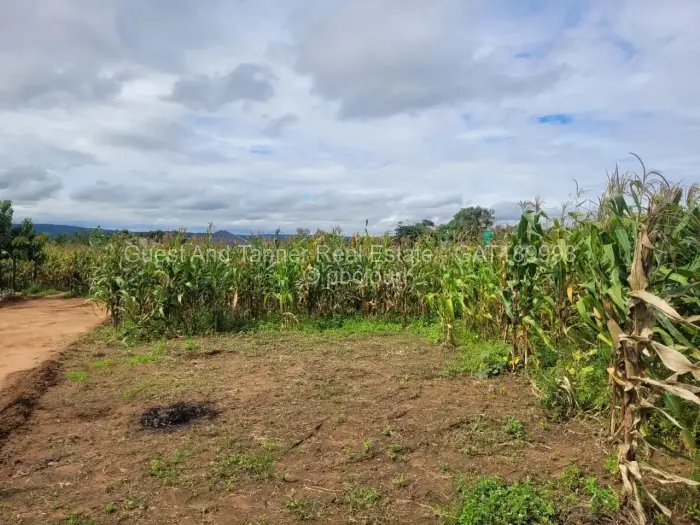 Residential Stand for Sale in Crowhill Views, Harare