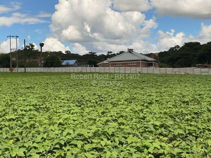 Farm/Plot to Rent in Glen Forest, Harare