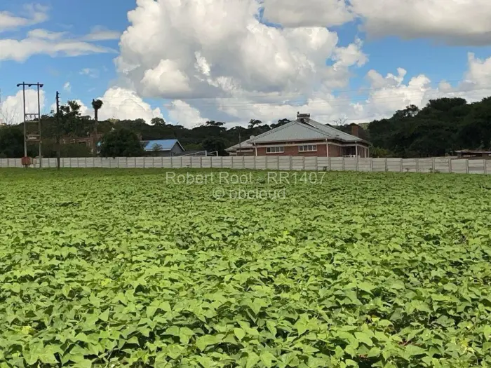 Farm/Plot to Rent in Glen Forest, Harare