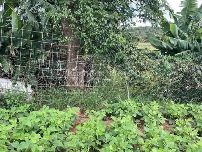 Farm/Plot to Rent in Glen Forest, Harare