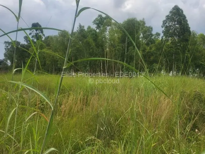 Residential Stand for Sale in Mwashuma Park, Harare