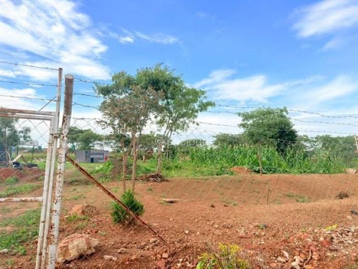 Residential Stand for Sale in Galloway, Norton