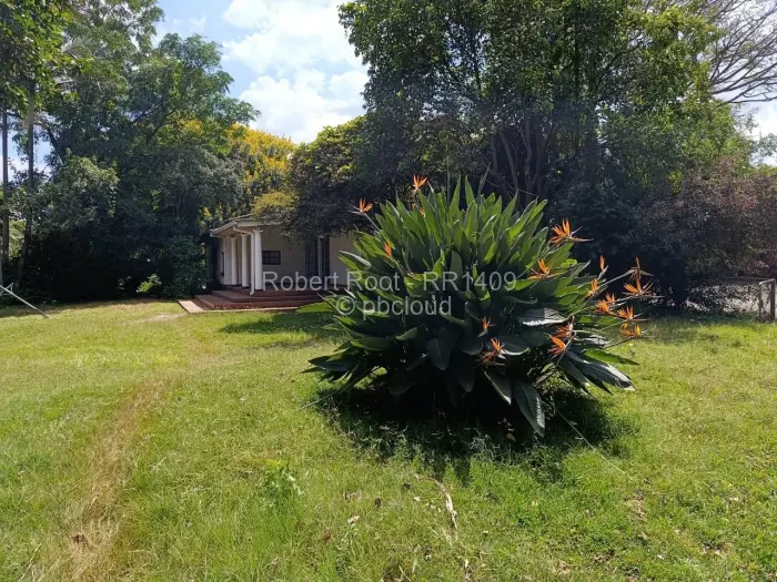 Office to Rent in Avondale