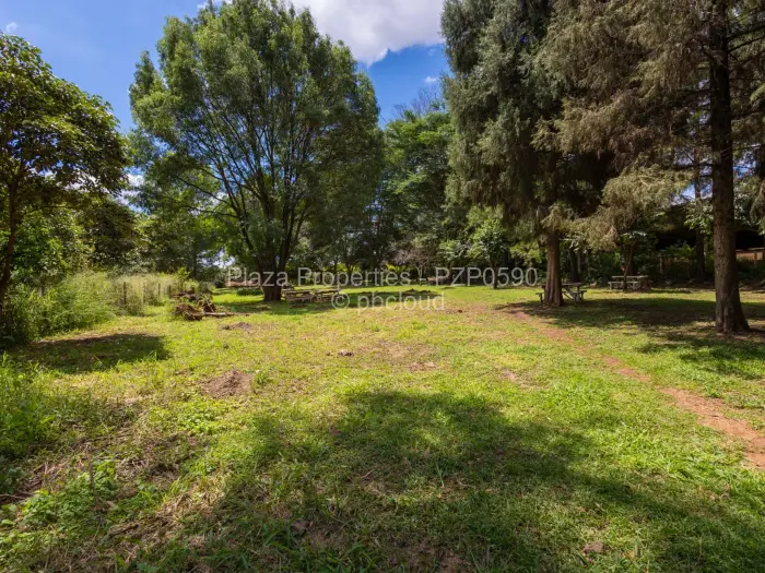 Commercial Stand for Sale in Tynwald, Harare