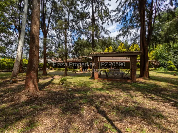 Commercial Stand for Sale in Tynwald, Harare