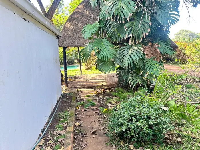 3 Bedroom House to Rent in Mount Pleasant, Harare