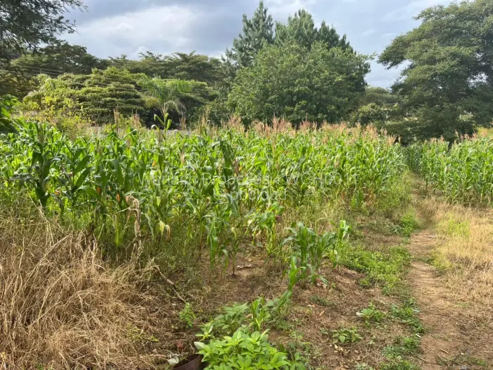 Residential Stand for Sale in Shawasha Hills, Harare