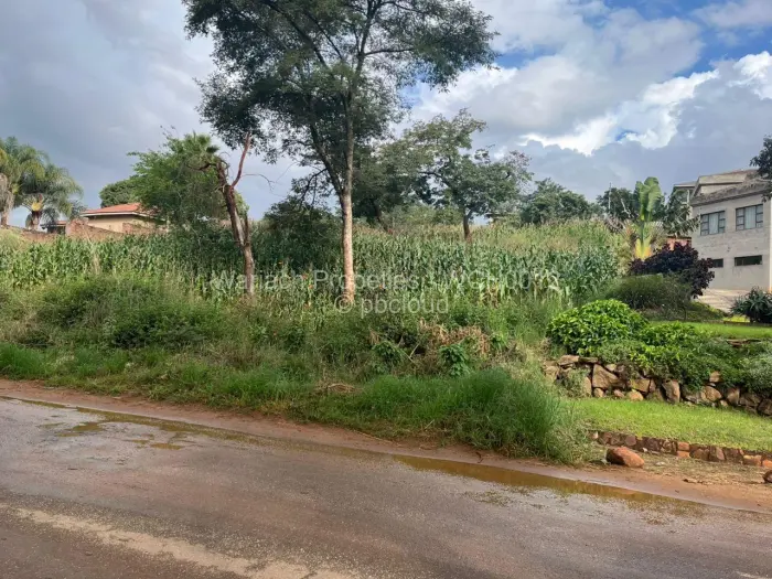 Residential Stand for Sale in Shawasha Hills, Harare