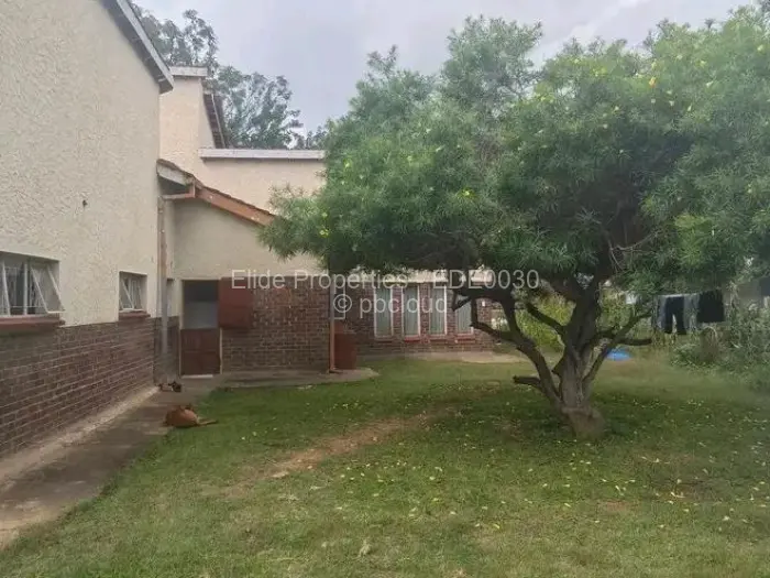 4 Bedroom House to Rent in Borrowdale West