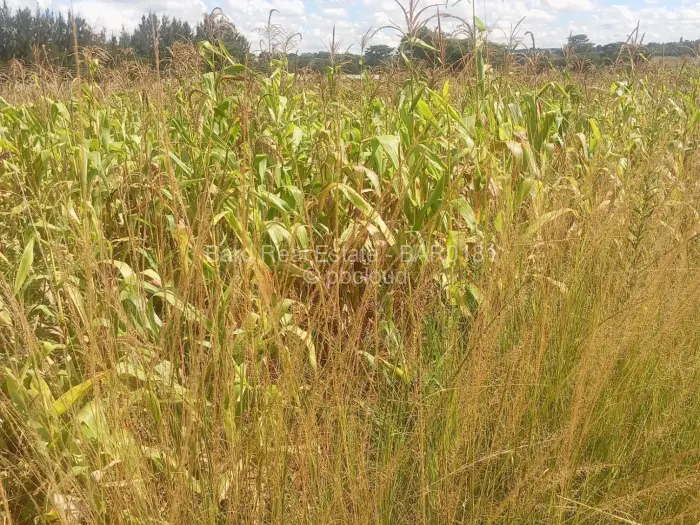 Residential Stand for Sale in Gletwin Park, Harare