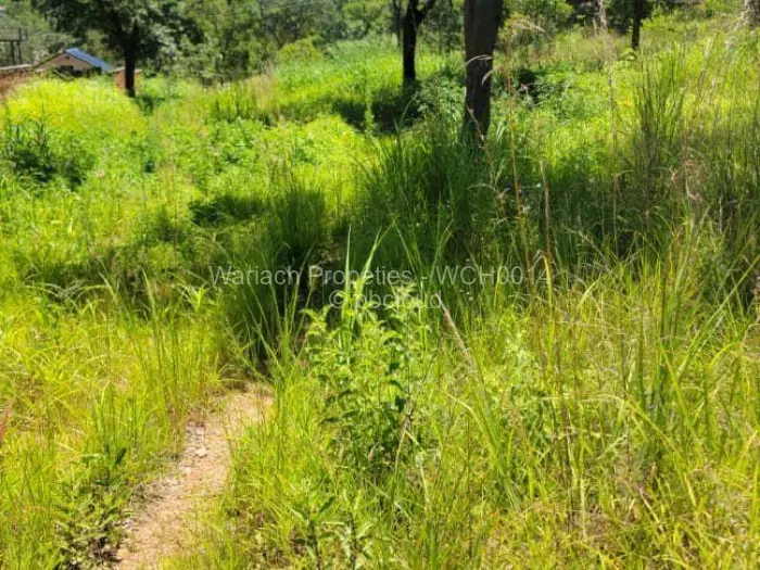 Residential Stand for Sale in Carrick Creagh Estate, Harare
