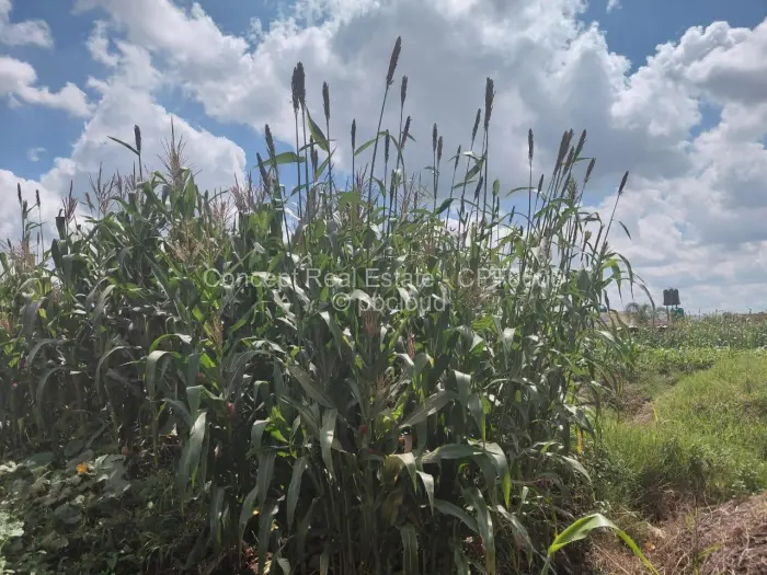 Residential Stand for Sale in Sandton Park, Harare