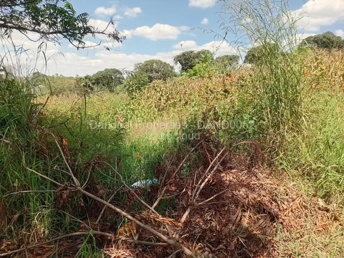 Residential Stand for Sale in Borrowdale Brooke, Harare