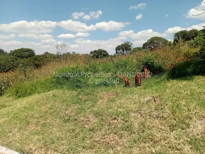 Residential Stand for Sale in Borrowdale Brooke, Harare