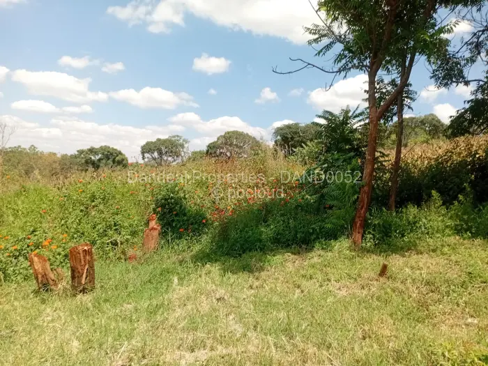 Residential Stand for Sale in Borrowdale Brooke, Harare