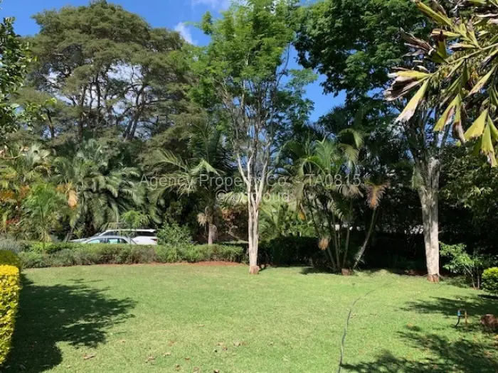 3 Bedroom House to Rent in Borrowdale Brooke