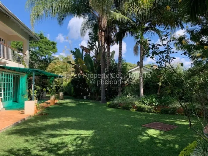 3 Bedroom House to Rent in Borrowdale Brooke