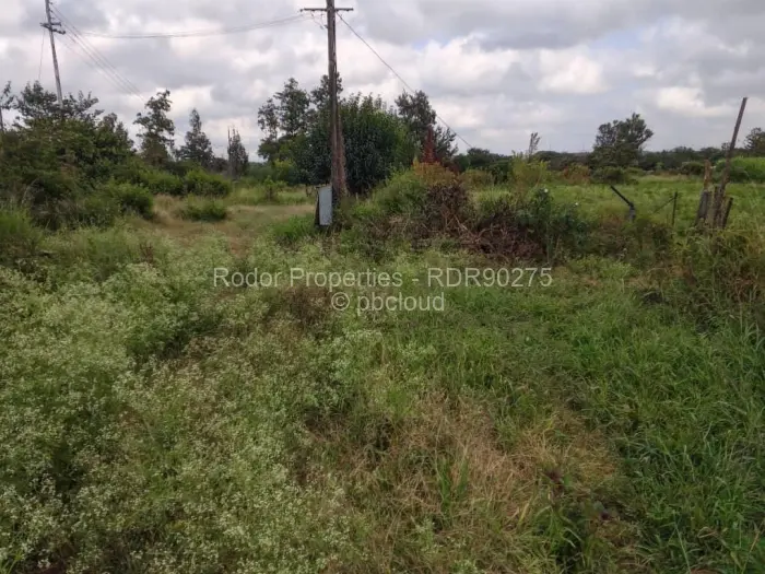 Residential Stand for Sale in Waterford, Bulawayo