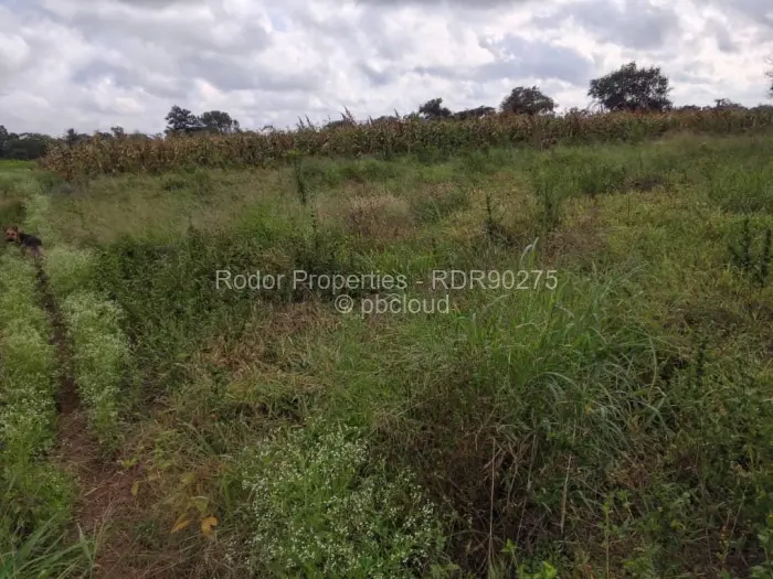 Residential Stand for Sale in Waterford, Bulawayo