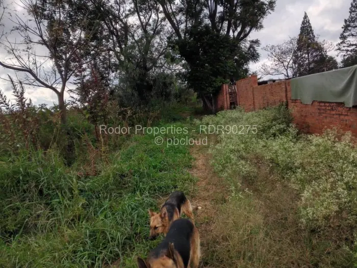 Residential Stand for Sale in Waterford, Bulawayo