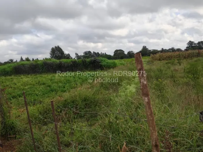 Residential Stand for Sale in Waterford, Bulawayo