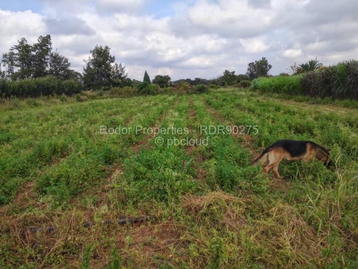 Residential Stand for Sale in Waterford, Bulawayo