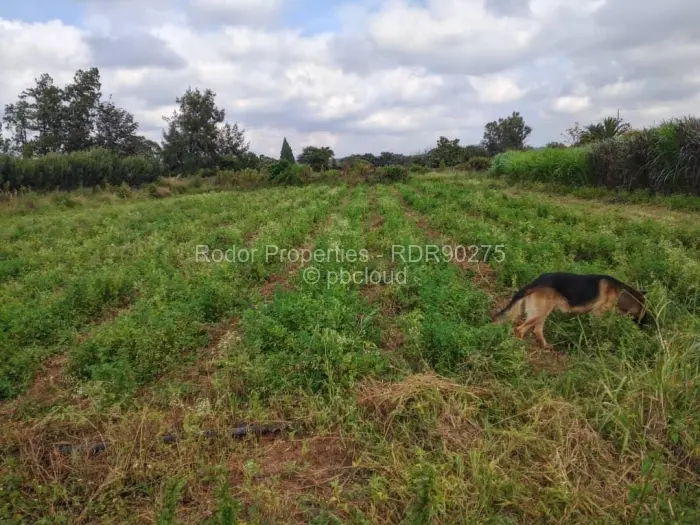 Residential Stand for Sale in Waterford, Bulawayo