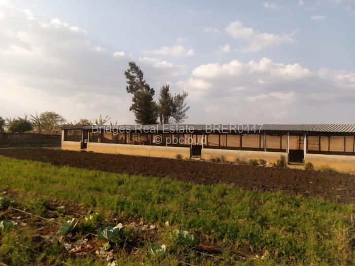 Farm/Plot for Sale in Norton, Norton