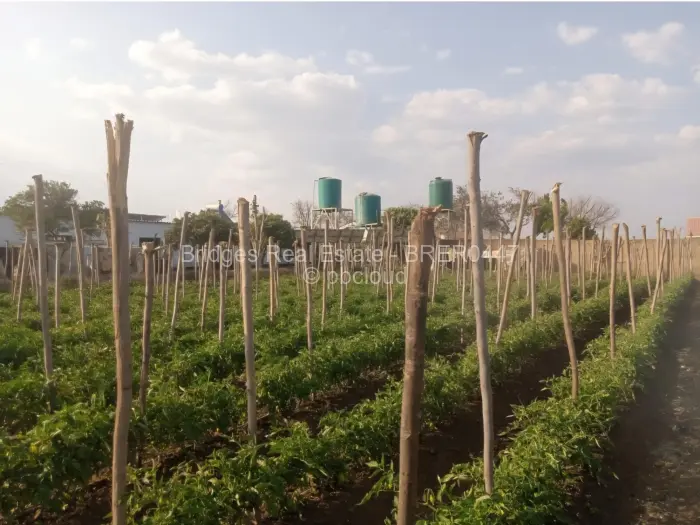 Farm/Plot for Sale in Norton, Norton