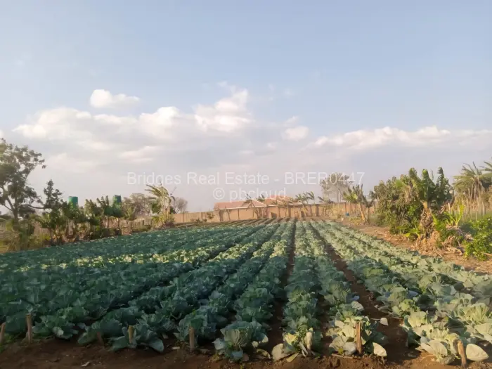 Farm/Plot for Sale in Norton, Norton