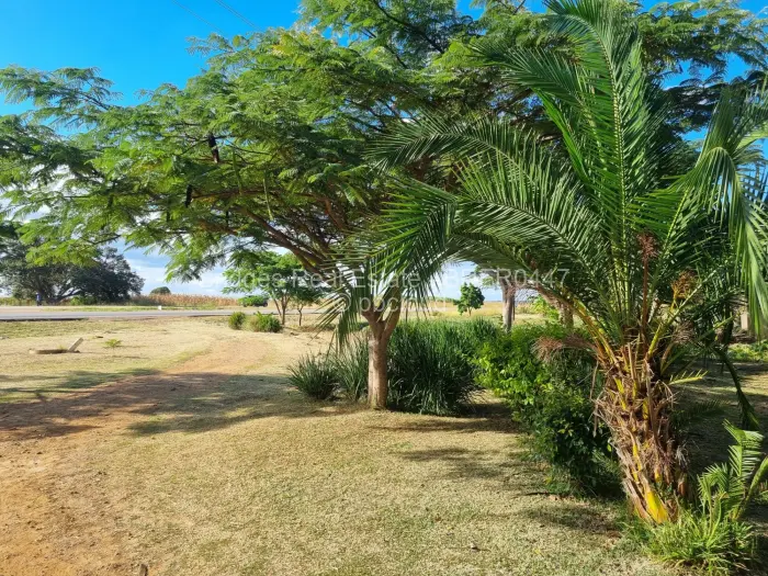 Farm/Plot for Sale in Norton, Norton