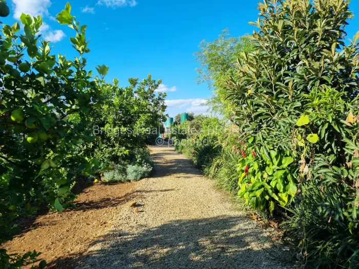 Farm/Plot for Sale in Norton, Norton