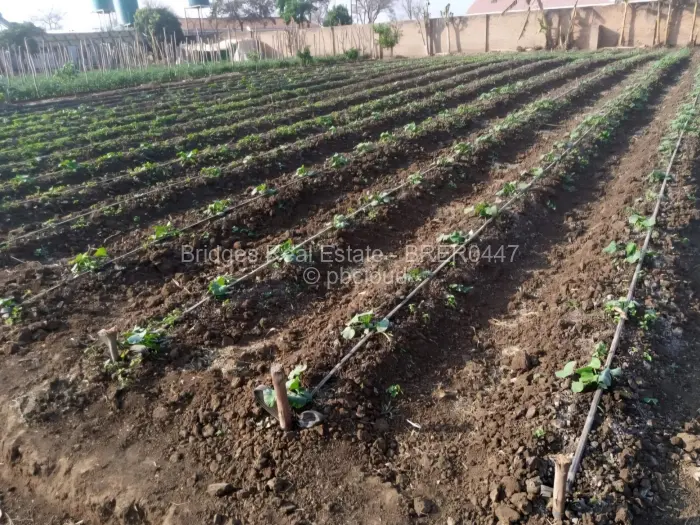 Farm/Plot for Sale in Norton, Norton