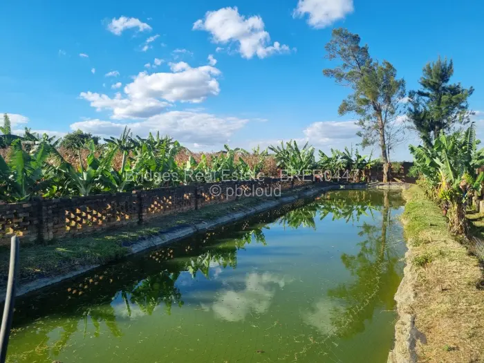 Farm/Plot for Sale in Norton, Norton