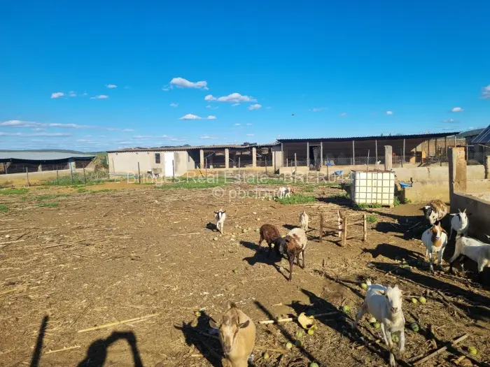 Farm/Plot for Sale in Norton, Norton