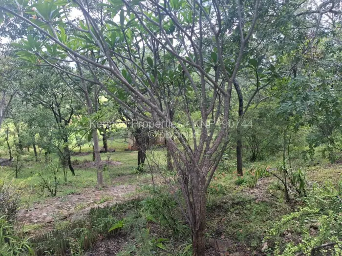 3 Bedroom House for Sale in Mazvikadei, Mazvikadei